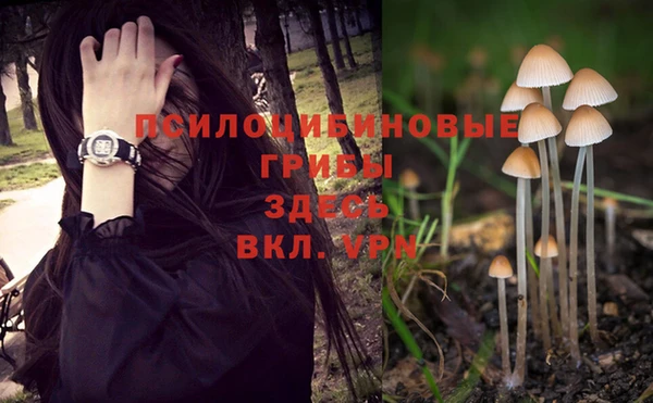 кристаллы Бородино